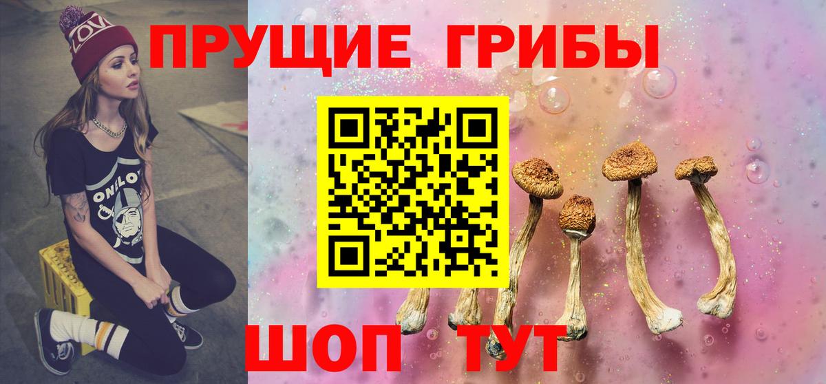 Псилоцибиновые грибы прущие грибы  Вход с VPN  Менделеевск 